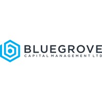 Bluegrove Capital Management Ltd logo - Similar company to 360 One Firm (361Firm)