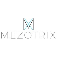Mezotrix logo - Similar company to Netlearn - Technology Learning Center