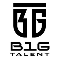 B1G Talent logo - Similar company to Dc Global
