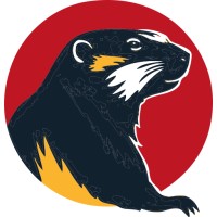 Helvethink logo - Similar company to Data Is Life Consulting