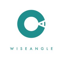 Wise Angle logo - Similar company to Sonicon Systems