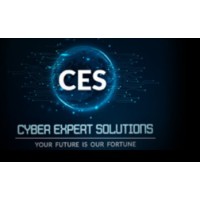 Cyber expert solutions logo - Similar company to Cybertone Inc