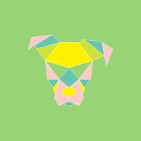 Peanut Creative logo - Similar company to Lfi Creative