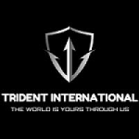 Trident Migration logo - Similar company to Ecosolve Sustainability Solutions