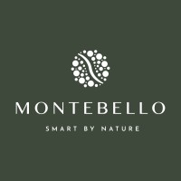 Montebello Smart City logo - Similar company to Maxcity Group