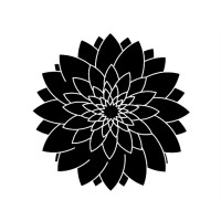 Daliscia logo - Similar company to Levacells