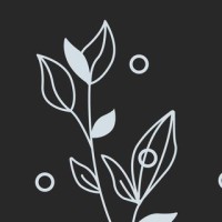 Kings Collective logo - Similar company to Yellowbox Creative