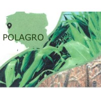 Polagro logo - Similar company to Sorted Sp. Z O.O.