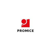 PROMICE STUDIOS logo - Similar company to Mindstein Studios
