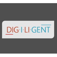 DIGILIGENT logo - Similar company to Digilent Consulting