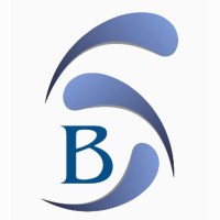 Best Barcode Enterprises (Best It) logo - Similar company to Rr Infotech