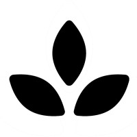 Ravanco Academy logo - Similar company to Mentorcoach Online