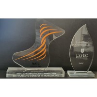 NORTH AFRICA TOBACCO COMPANY (N.A.T.C.) logo - Similar company to Bazard Tobacco Company (B.T.C)