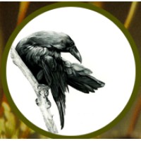 Keystone Ecology logo - Similar company to Precision Garden Solutions