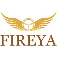 Fireya Survey Inspection n Market Research logo - Similar company to Ziinith Vibe Digital