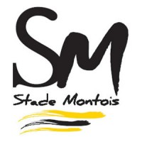 Stade Montois logo - Similar company to Ernest Studio