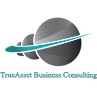 TrueAsset Business Consulting logo - Similar company to Mbi Media