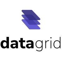 Datagrid logo - Similar company to Open Webconcept