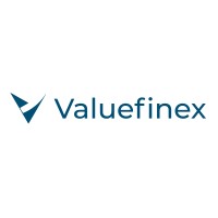Valuefinex logo - Similar company to The Rose Studio