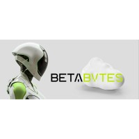 BetaBytes logo - Similar company to Beta Byte Technologies