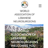 WORLD ASSOCIATION OF LEBANESE NEUROSURGEONS logo - Similar company to My Right To Hear