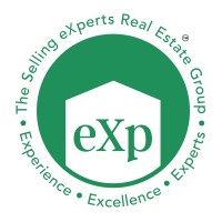 The Selling eXperts logo - Similar company to Aybu Exp Community