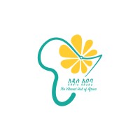 Discover Addis Ababa logo - Similar company to Addis Litech