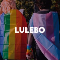 Lulebo logo - Similar company to Skoogs