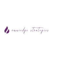 OmniEdge Strategies logo - Similar company to Omniedge Inc