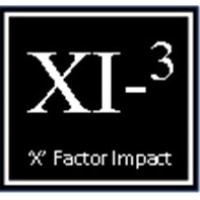 XI-3 logo - Similar company to Rggroup Global