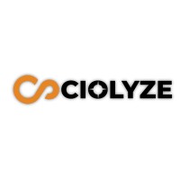 Sociolyze logo - Similar company to Techironed Solutions