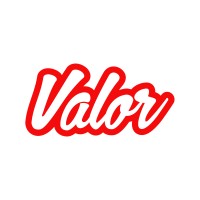 Valor Software logo - Similar company to 7Factor Software