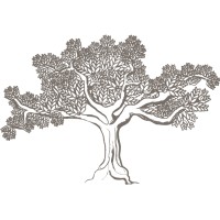 Innove logo - Similar company to Innove.Ai