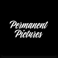 Permanent Pictures logo - Similar company to Thrive Networking Group