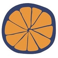 Salty Orange Consulting