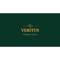 Veritus Consulting logo - Similar company to Consultor Financeiro