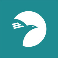 CODEXPRO logo - Similar company to Idse Solutions