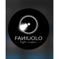 Illuminazione Faniuolo logo - Similar company to Prolight