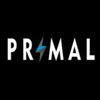 PrimalTechnologies logo - Similar company to Westmount Solutions