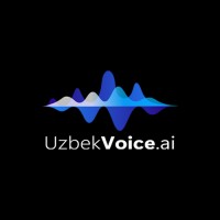 UzbekVoice logo - Similar company to Codekaplan