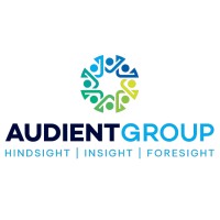 Audient Group, LLC logo - Similar company to D R Dewhurst