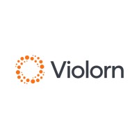 Violorn Group Ltd logo - Similar company to Violorn Business Solutions Ltd