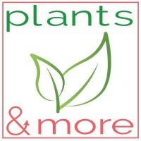 Plants & More