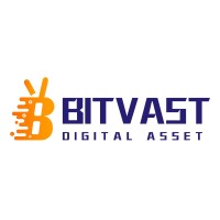 Bitvast Digital Asset logo - Similar company to Ehl Academy (