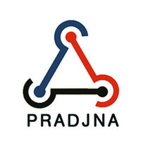 Pradjna Intellisys Pvt. Ltd. logo - Similar company to Loopzero Enterprises Llp