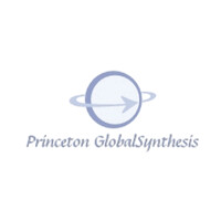 Princeton Global Syntheses logo - Similar company to Volta Biotech