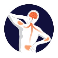 BreinMedicijn logo - Similar company to Groeidirect