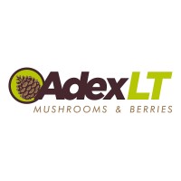 ADEX LT (mushrooms&berries) logo - Similar company to Beribu - Frozen Forest Goods