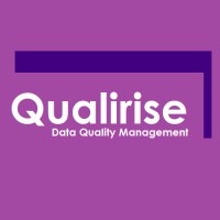 Qualirise logo - Similar company to Stratesea Technology, Inc