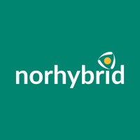 Norhybrid  Renewables AS logo - Similar company to Nanocaps